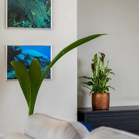 Wave Be Castle Appartement